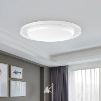 客厅卧室长方形圆形吸顶灯现代简约智能灯具灯饰(星宇560)